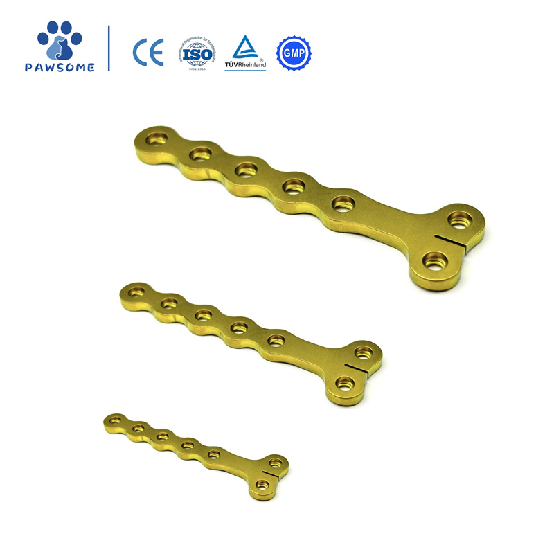 Veterinary Orthopedic Implants Trauma T Locking Pl02.jpg
