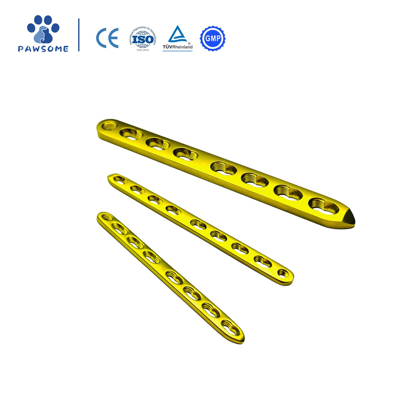 Veterinary Orthopedic Implants Trauma Straight Loc01.jpg