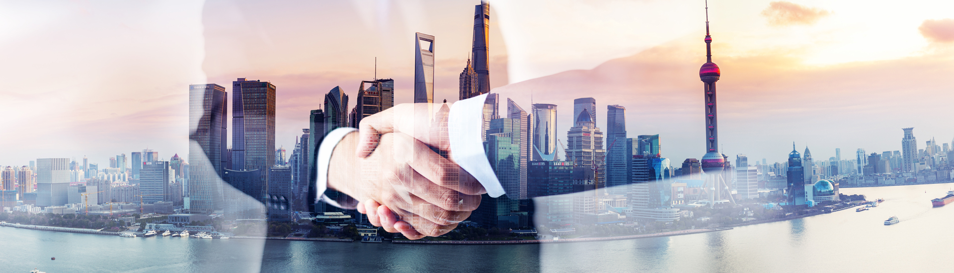 For-Pet-Wholesalersbjtp