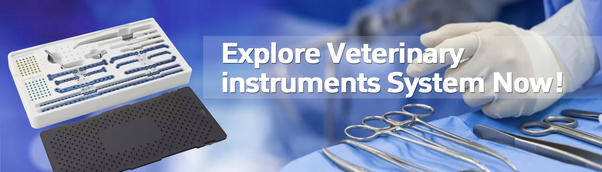 Veterinary Instruments