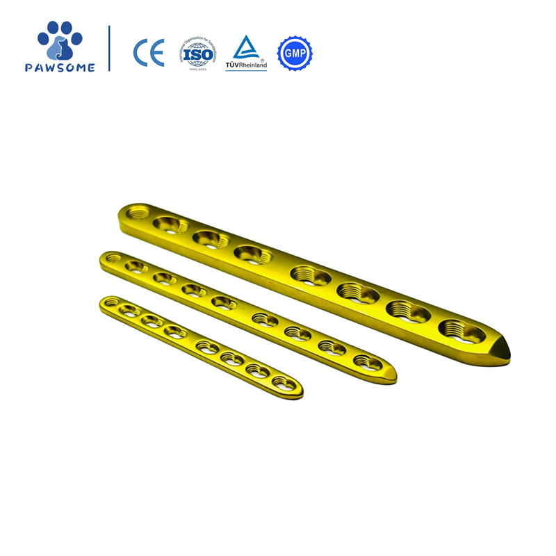 Veterinary Orthopedic Implants Trauma Straight Loc02.jpg
